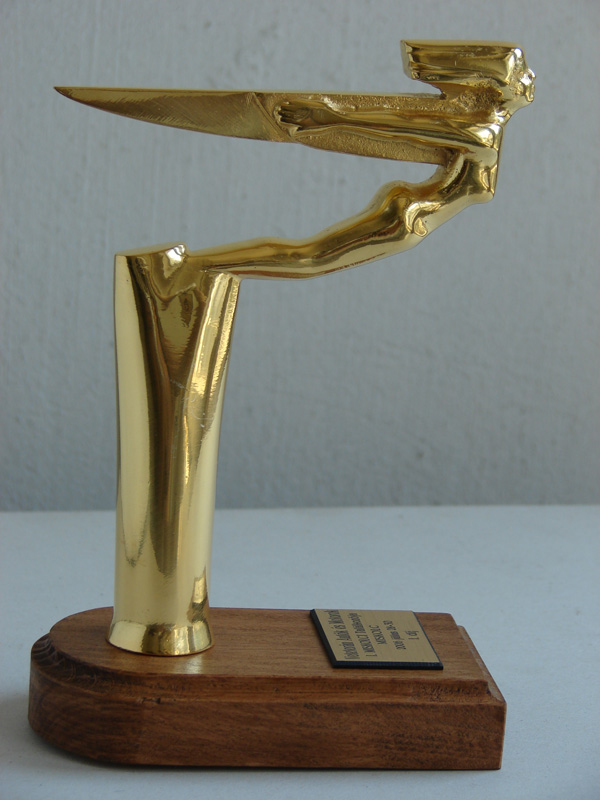 ez�st �kszer, arany �kszer, aranym�ves, ez�stm�ves, �tv�s, d�j