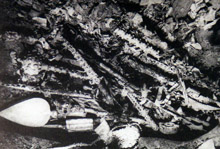 Az Esterh�zy m�kincsek felt�r�sa 1948-ban